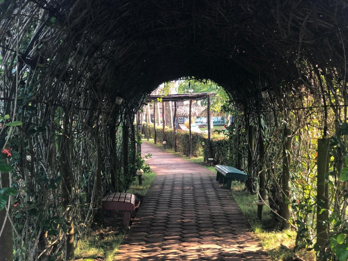 Hotel Bungalows Marbella Costa Esmeralda Monte Gordo エクステリア 写真